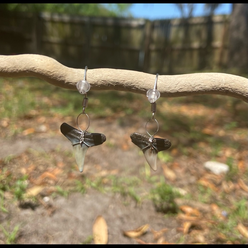 Shark Tooth Earrings - Picture 2 of 2